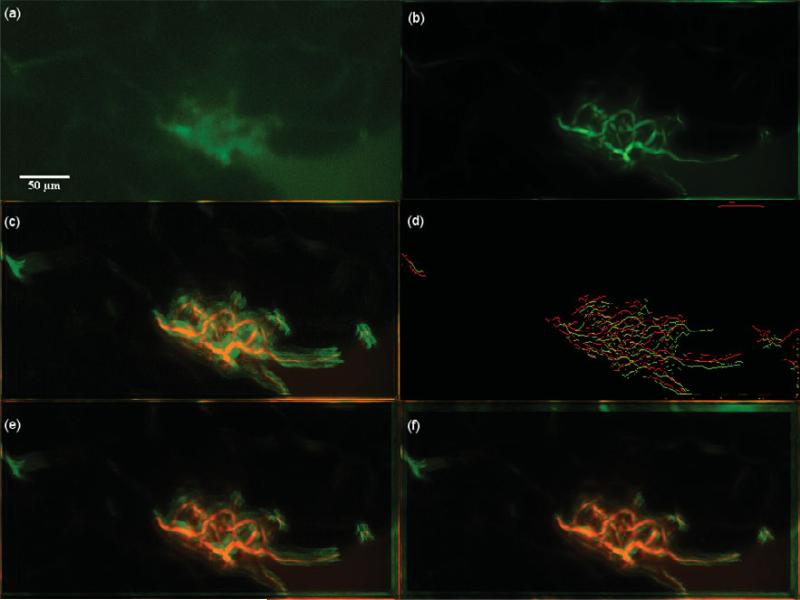 Figure 15