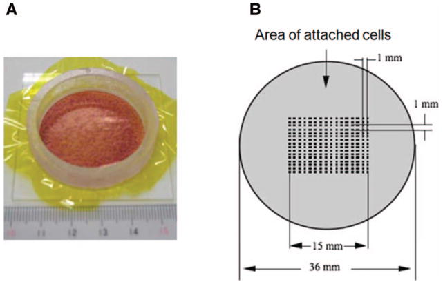 FIG. 1