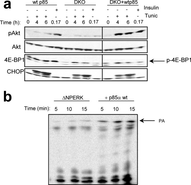 Fig 5