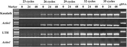 Figure 7.—