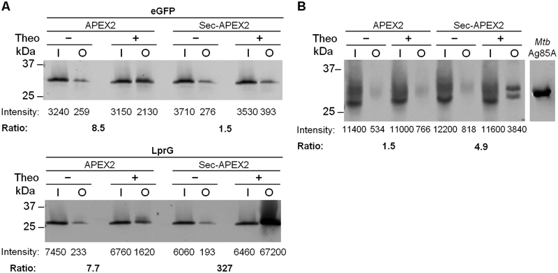 Figure 3.