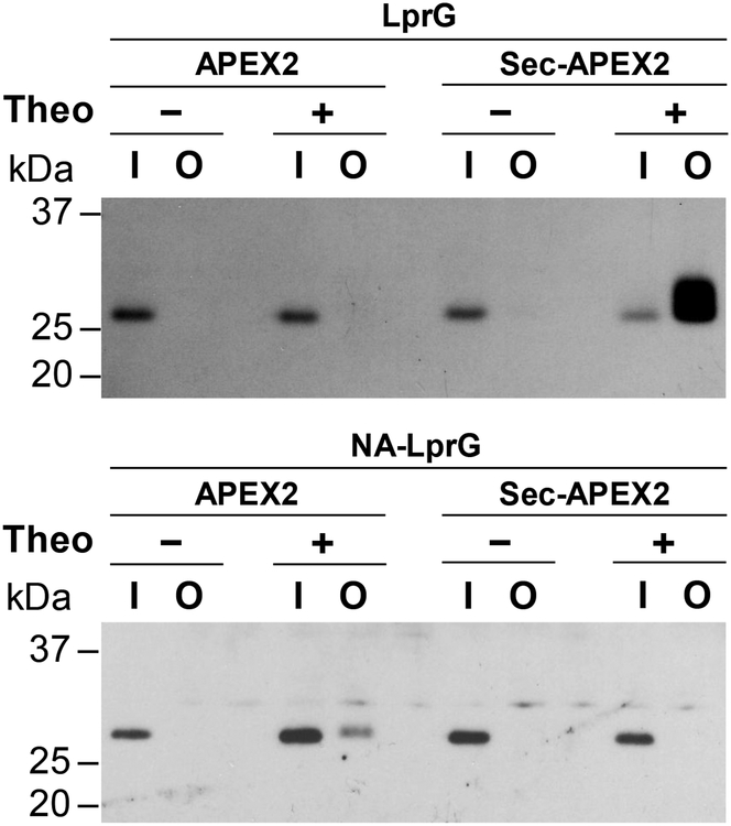 Figure 4.