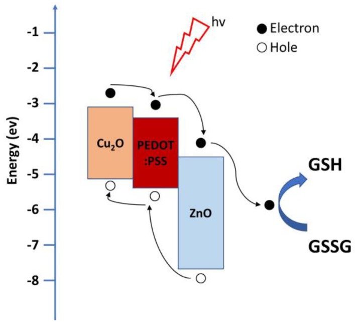 Figure 7