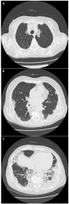 Figure 1.