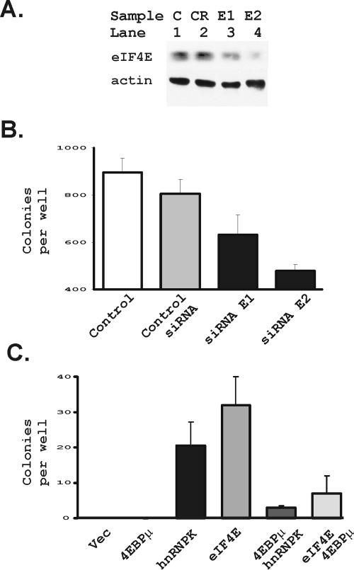 FIG. 10.