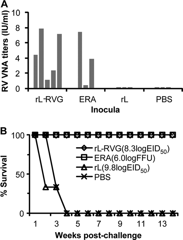 Fig. 11.