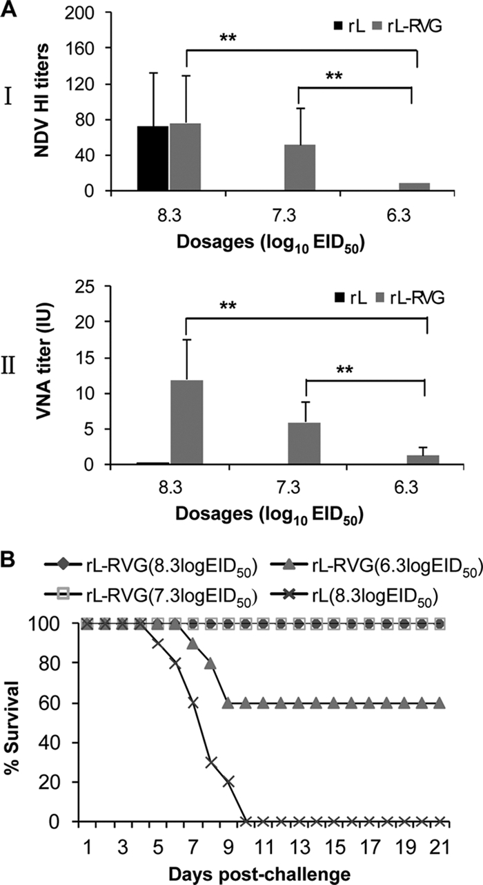 Fig. 9.