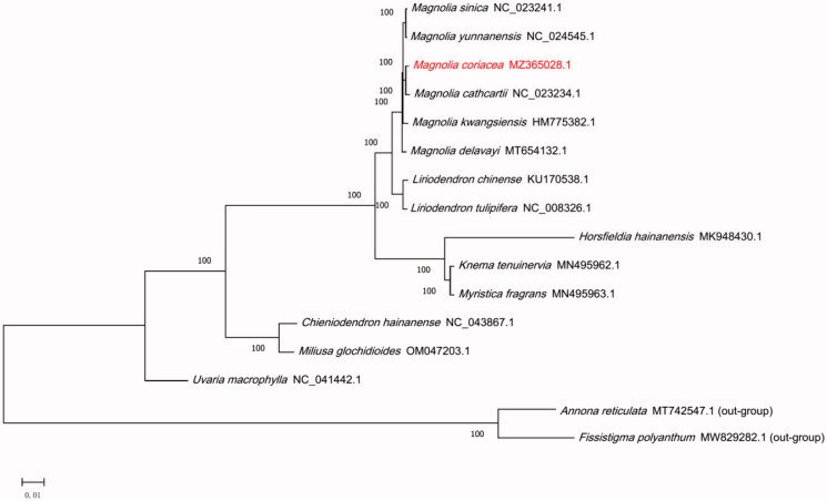 Figure 1.