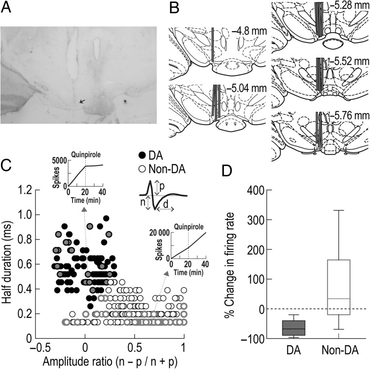 Figure 2.