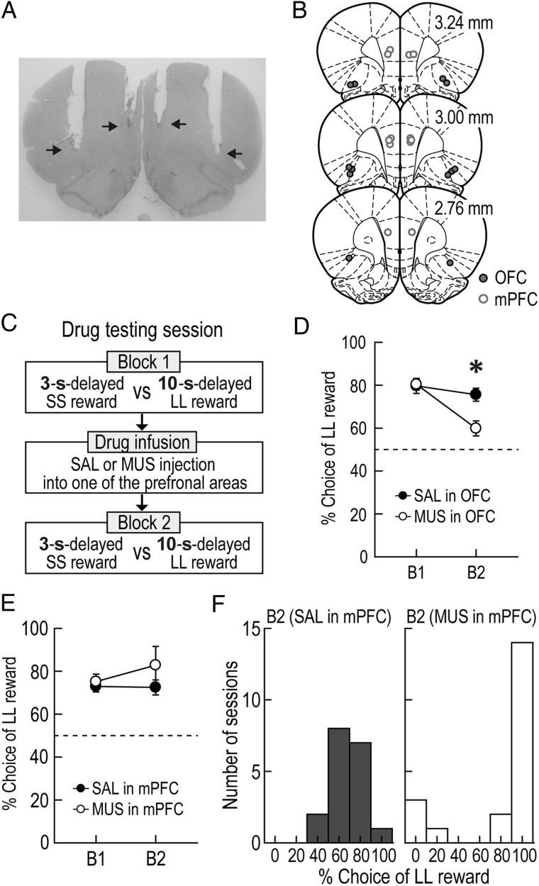 Figure 5.