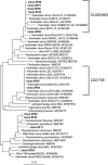 FIG. 4.