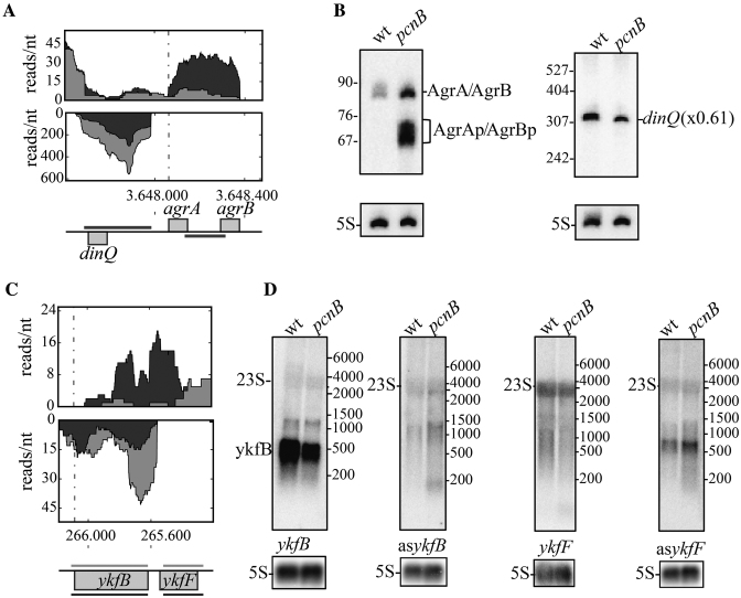 Figure 4.