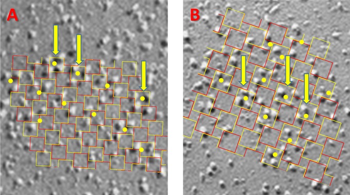 Figure 5.