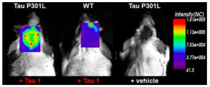 Figure 10