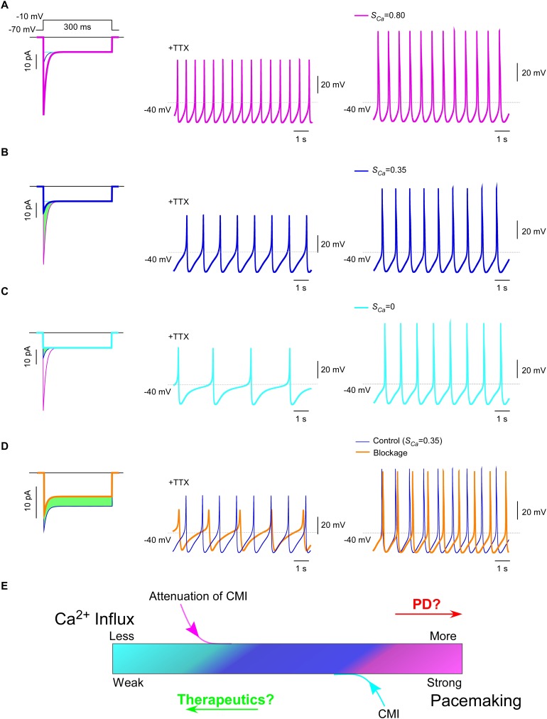 Figure 7.