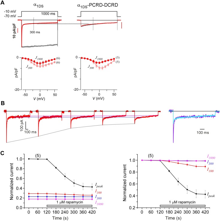 Figure 6—figure supplement 2.