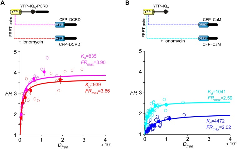 Figure 6—figure supplement 3.