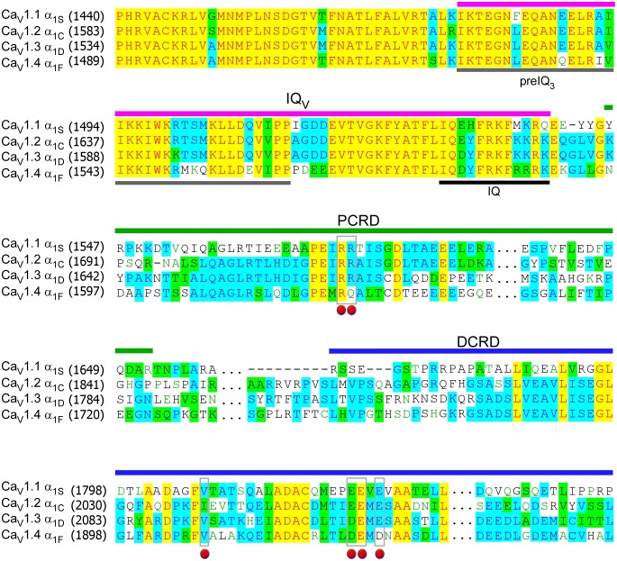 Figure 1—figure supplement 1.