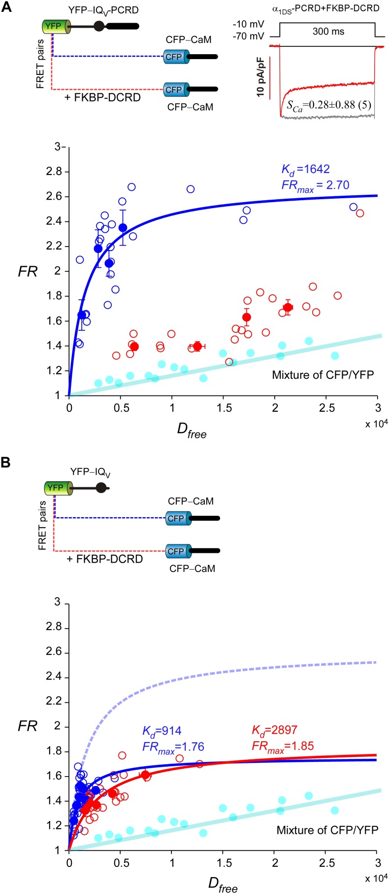 Figure 4—figure supplement 2.