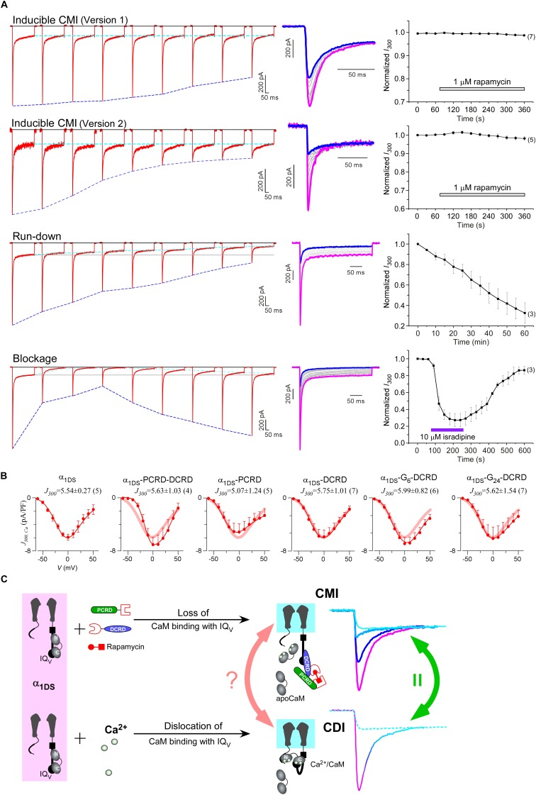 Figure 6.