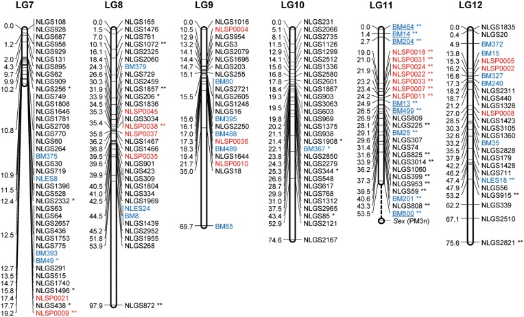 Figure 2.