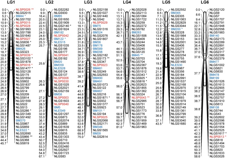 Figure 2.