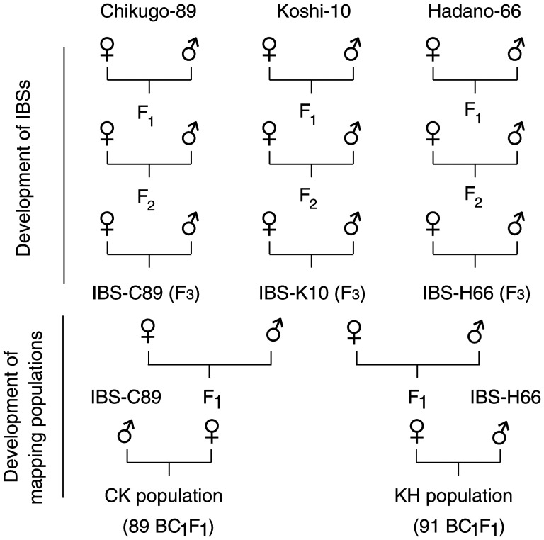 Figure 1.