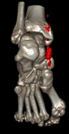 Fig. 7