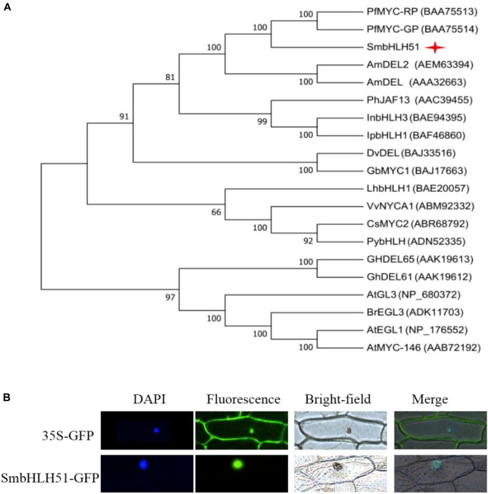 FIGURE 2