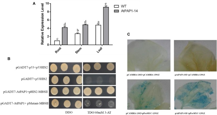 FIGURE 3