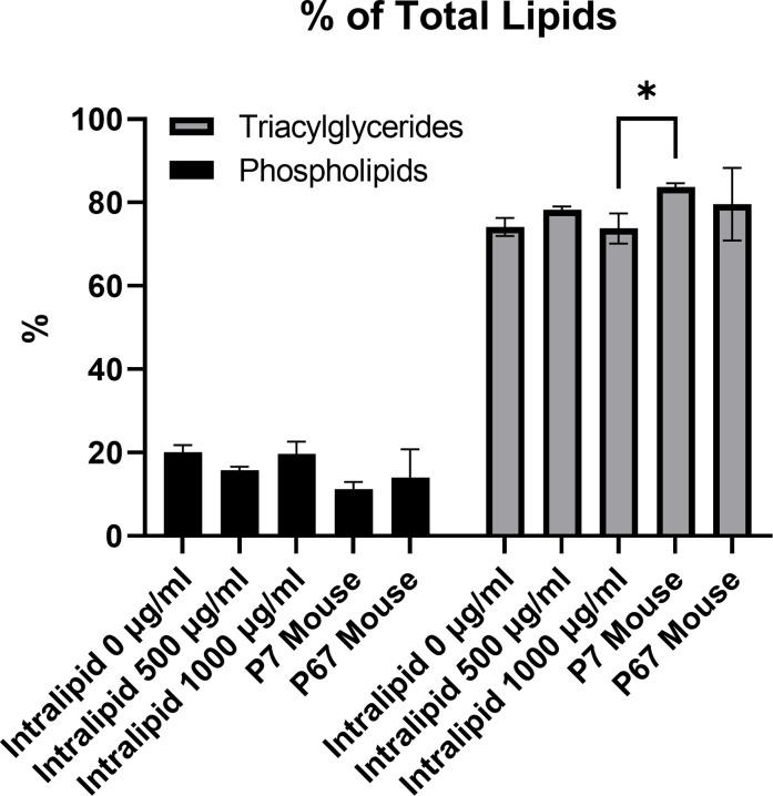 Figure 4—figure supplement 2.