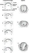 Fig 4.