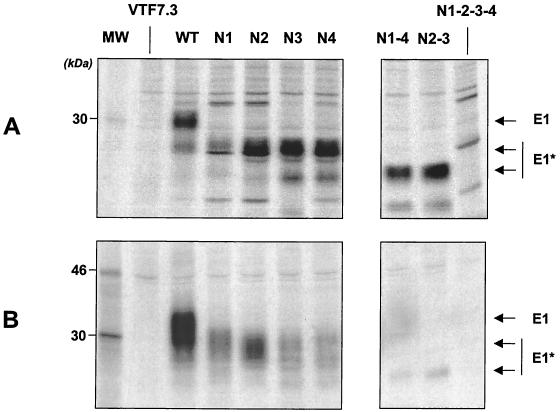 FIG. 3