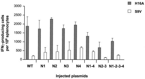 FIG. 6