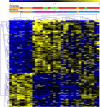 <b>Figure 1.</b>