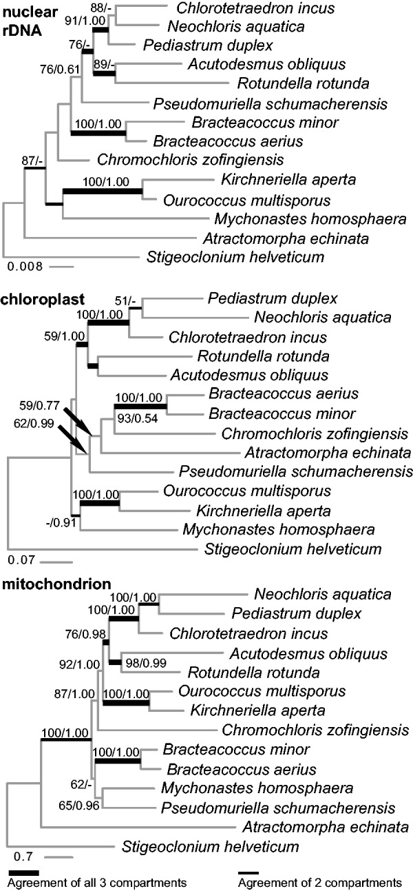 Fig. 5.—