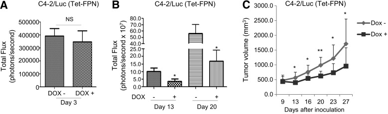 FIG. 10.