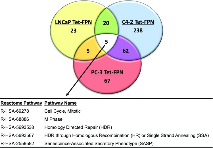 FIG. 9.