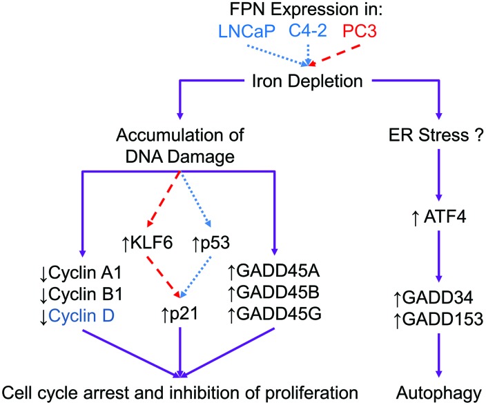 FIG. 11.