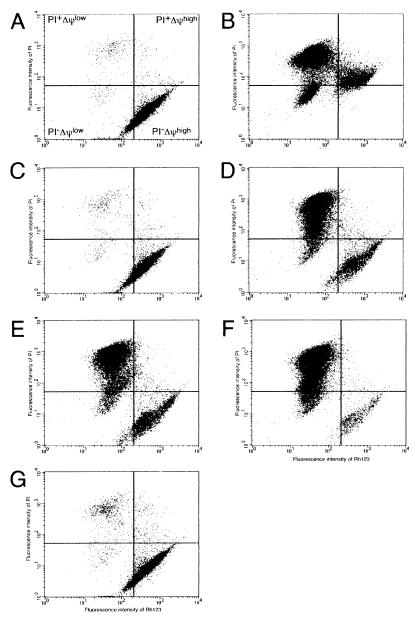 FIG. 1