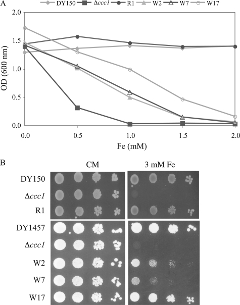 FIGURE 1.