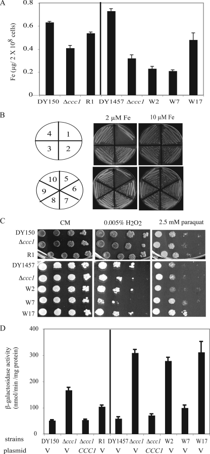 FIGURE 2.