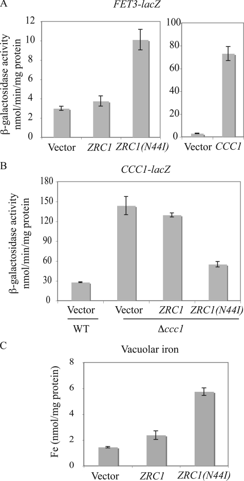 FIGURE 4.