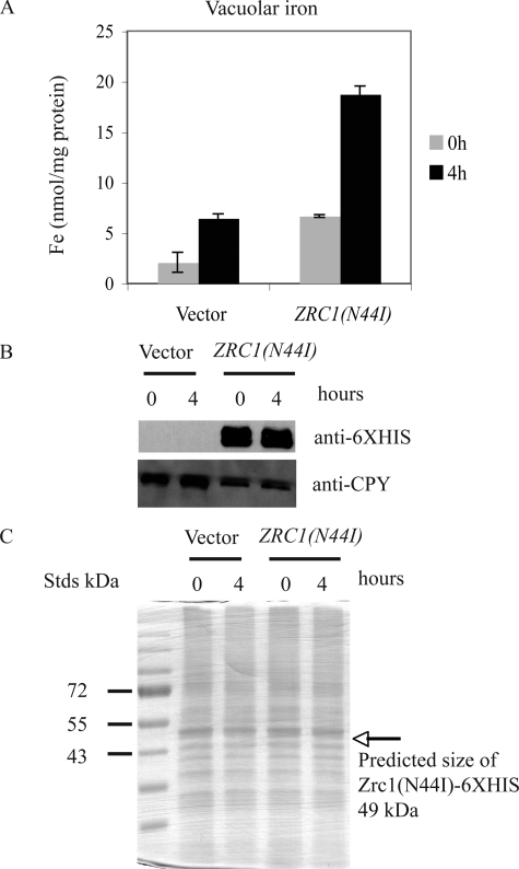 FIGURE 6.