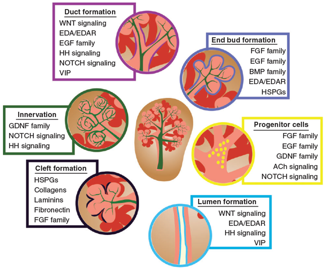 FIGURE 5 |