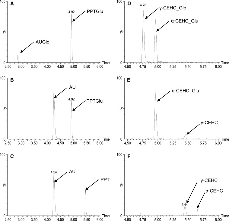 Fig. 4.