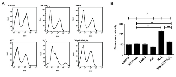 Fig.2