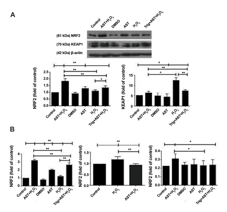 Fig.4