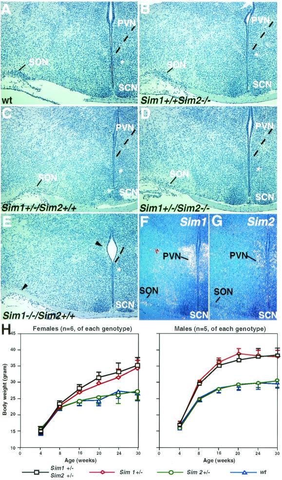 FIG. 6.