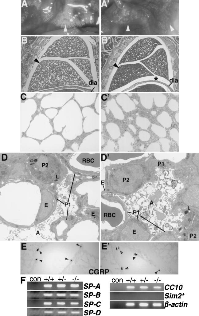 FIG. 5.